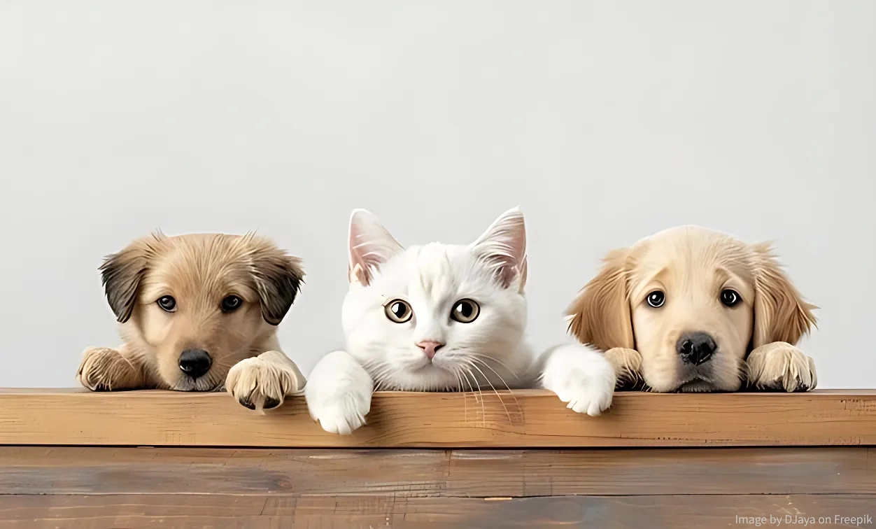 ペットイメージ